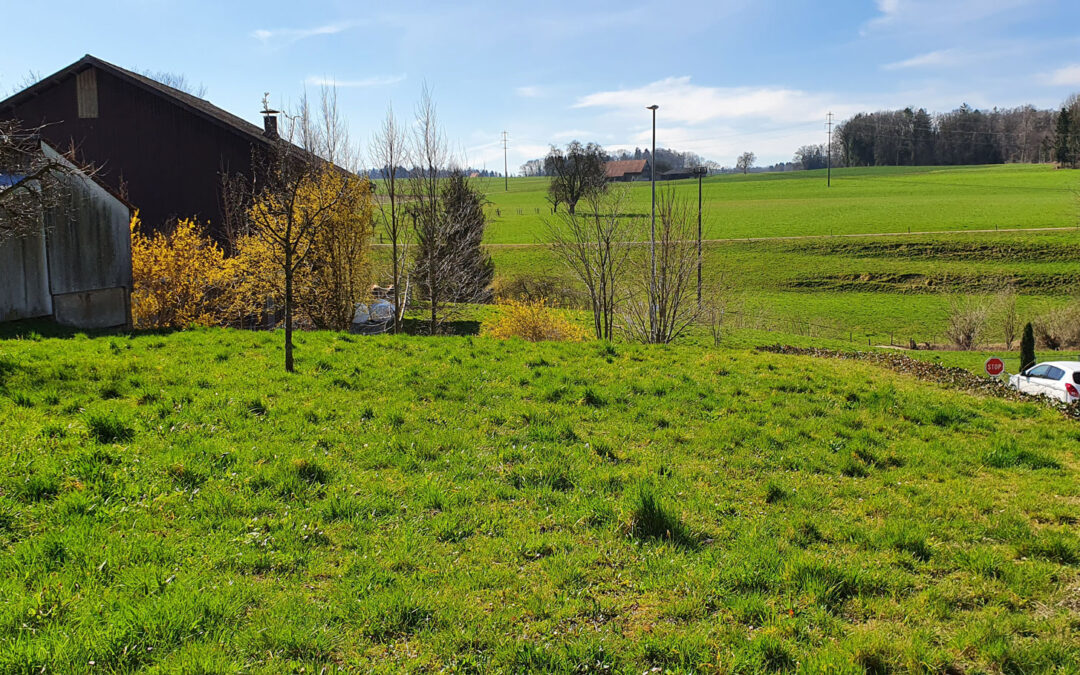 Bauland an sonniger Lage, Schönenbaumgarten