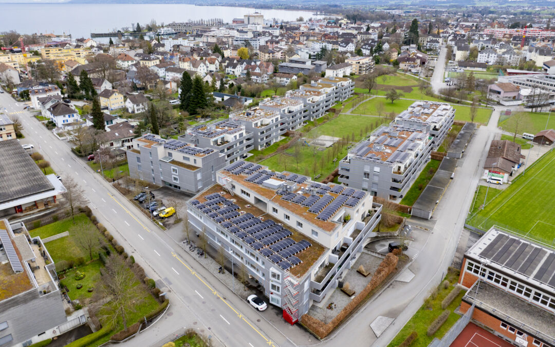 Witenzelg, Romanshorn